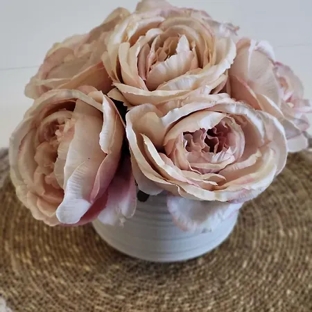 Appartement Luny Art Center