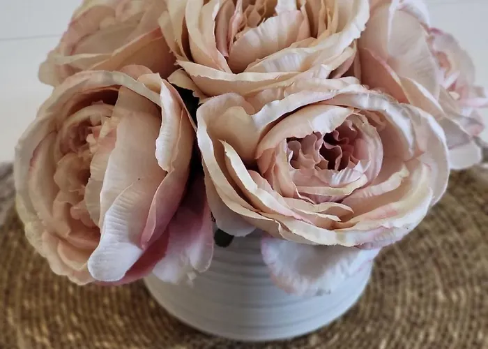 Daire Luny Art Center